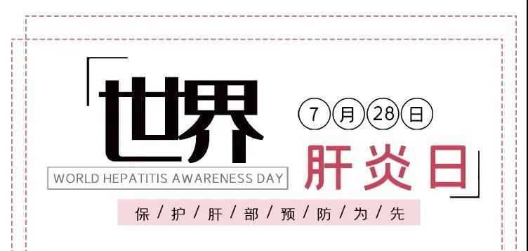世界肝炎日——積極預(yù)防，主動檢測，規(guī)范治療，全面遏制肝炎危害！