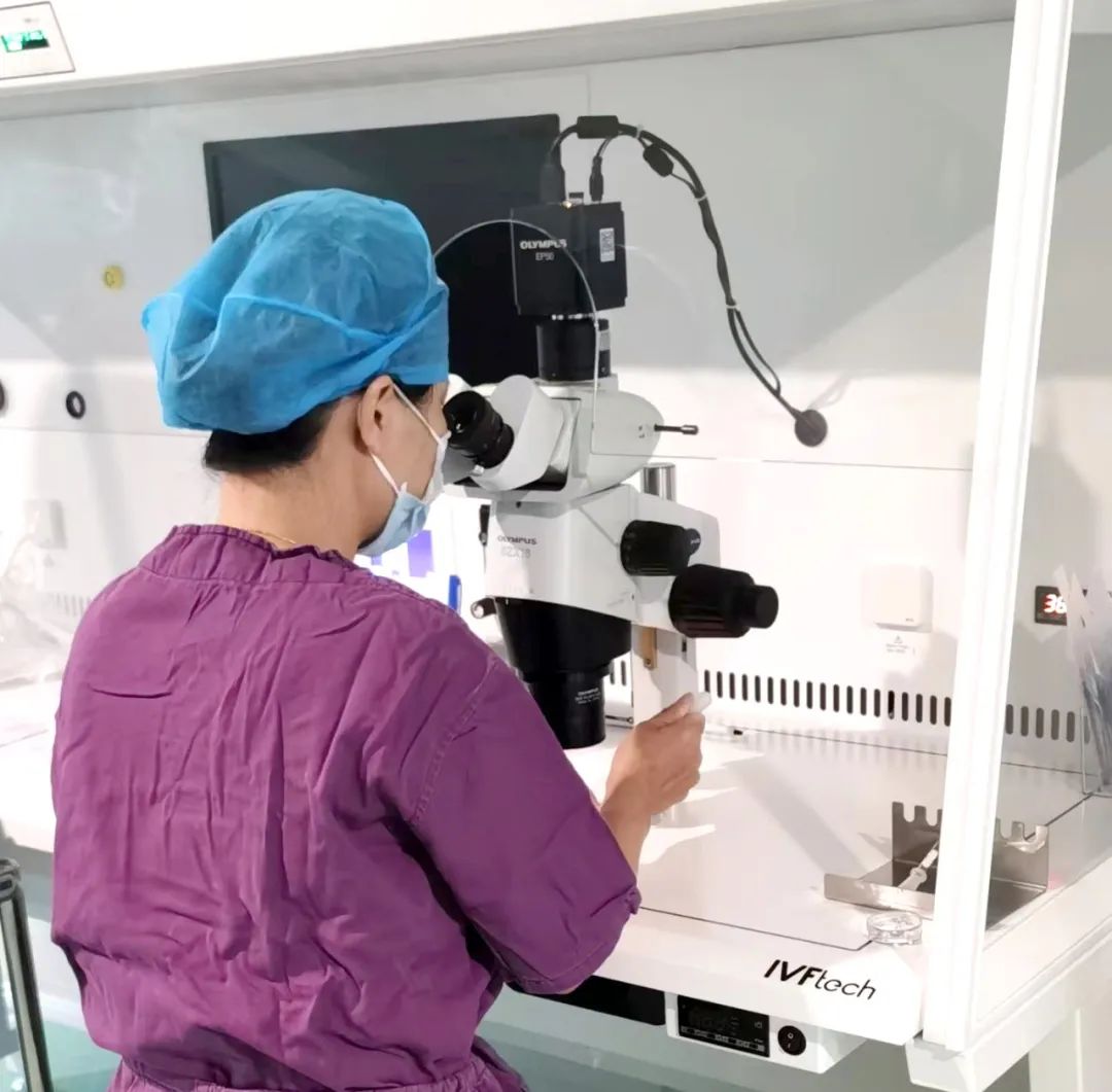 【喜訊】保山首例無精子癥通過試管嬰兒技術(shù)助孕成功！
